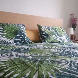 Appartement met Drie Slaapkamers